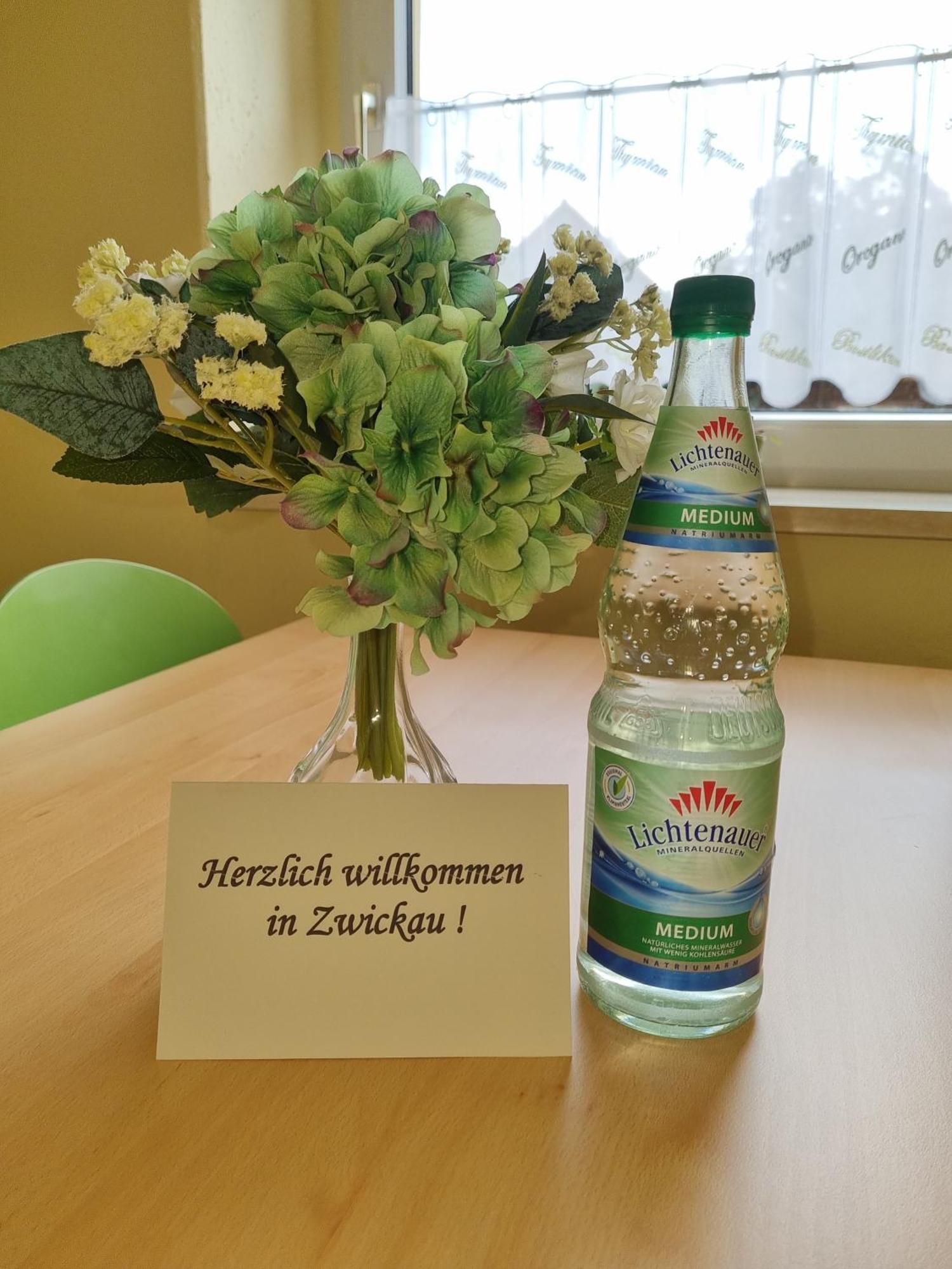 Ferienwohnung Im Zentrum Zwickaus Exteriér fotografie